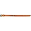 Antkaklis Zolux LEATHER LINED, smėlio ruda, 350 mm x 16 mm