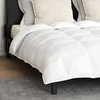 Antklodžių rinkinys su pagalve 3 pcs Balta Plunksna