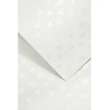 Galeria Papieru Dekoratyvinis popierius MALESERCA A4 baltas 220g 20l