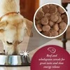 Gilpa Šunų Maistas - ARKWRIGHT Pilnas Sausas Jautienos 15kg 18% Baltymų Be Cukraus Be Sojų