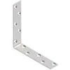 Arras Tvirtinimo kampas 100x100x20x2, cinkuotas