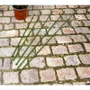 AUGALŲ ATRAMA KUOLAS 6VNT. 50-80CM KINZO 122892
