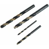 Grąžtas AW-Tools AWTOOLS grąžtai METAL HSS M2 PREMIUM 4,0mm/10vnt.