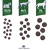 BALTICA Smaki regionów Small breeds antiena with pear – sausas Maistas šunims – 3kg