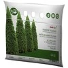 Baltic Agro BALTICAGRO Trąšos tujoms, 4kg