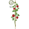 ProGarden Bambuko atramos augalams 116 cm, 10 vnt.