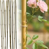 ProGarden bambuko lazdos augalams 60 cm, 10 vnt