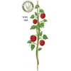 ProGarden Bambukinės atramos augalams 78 cm, 10 vnt.