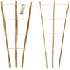 ProGarden bambukinės laiptuotos augalų atramos 75 cm 3 vnt