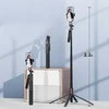 Oem Blavec Asmenukių lazda Aliuminio Fusion P08 tripod + nuotoliniu valdymu + 1 lamp 2,2 metres (SSFP08-TR1LB22) juodos spalvos