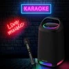Blavec nešiojama Bluetooth kolonėlė TWS WS-01 Karaoke – 160W su mikrofonu (WS01-MB) juodos spalvos