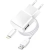 BlueStar Telefono įkroviklis Blue Star USB A 1A 5W + laidas USB A į Lightning TFK-TC-1100B baltas