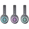 Bluetooth ausinės su mikrofonu DEFENDER FREEMOTION B571 LED