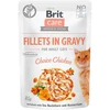 BRIT Care fillets in gravy box – šlapias pašaras katei – 12x85g