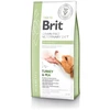 Brit GF Veterinary Diets sausas Maistas šunims Diabetes 12kg
