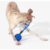 Carruzzo Cheerble Wicked Ball Air Rope