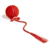 Carruzzo Cheerble Wicked Ball Duo2