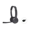 Carruzzo Conceptronic POLONA04BA Ausinės be mikrofono ir ausinės su mikrofonu Vielinis ir Bevielis Su lankeliu Skambučiai / muzika C tipo USB Bluetooth Juoda