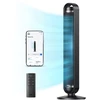 Ventiliatorius Carruzzo Dreo Cruiser TF611S Wi-Fi juoda