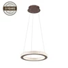 Pakabinamas šviestuvas Carruzzo PENDANT LAMP RICH 19111-S 24W LED