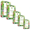 Carruzzo Seed set TORAF – Set 2×5 2024 TORAF 60x1pc
