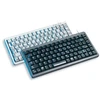 Klaviatūra Cherry G84-4100 su laidu CH-išdėstymas hellgrau