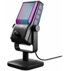Cherry XTRFY MIK NGALE R USB-C Mikrofonas juodas