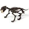 Clementoni Smilodon pastatykite tigro skeletą