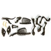 Clementoni Smilodon pastatykite tigro skeletą