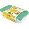 CURVER MAISTO DĖŽUTĖ FRESH&GO 0,25L KVADRATINĖ ŽALIA