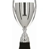 Detal Sidabrinė metalinė taurė BASTERS 1058A