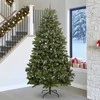 Dirbtinė Kalėdų eglutė su 300 LED Žalia 270 cm PVC ir metalas