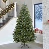 Dirbtinė Kalėdų eglutė su 300 LED Žalia 270 cm PVC ir metalas