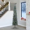 Dirbtinė Kalėdų eglutė Žalia 240 cm PVC, plastikas ir plienas
