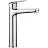 Praustuvo maišytuvas Deante Boro Tall BMO_020K, Chrome