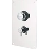 Deante DTA Concealed shower mixer – with temperature control