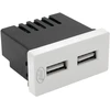 Dvigubas USB lizdas PNI UB20, 5V, 2.4A, modulinis, įmontuojamas, F tipo 1/2, stikliniam rėmeliui RM101W, RM202W