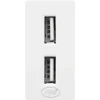 Dvigubas USB lizdas PNI UB20, 5V, 2.4A, modulinis, įmontuojamas, F tipo 1/2, stikliniam rėmeliui RM101W, RM202W