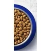 Purina Nestle ĖDALAS KATĖMS „ONE ADULT“ 800 G