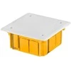 Elektro Plast Paskirstymo dėžutė Elektroplast 0260-0N, 50 x 89 x 89 mm