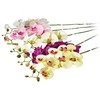 Emivela Dirbtinė orchidėja, 70 cm