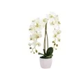 Emivela Dirbtinė orchidėja vazone, 65 cm