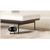 Enabot | ROLA Mini Pet Monitorius | Compact | 3 MP