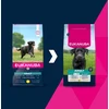 Eukanuba Life Care sausas pašaras didelių veislių šunims su vištiena, L, 15 kg
