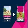 Šunų Maistas - EUKANUBA Senior L XL Aviena ir Ryžiai 12kg