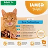 Eukanuba IAMS DELIGHTS Adult Sea in Jelly box – šlapias pašaras katei – 8x85g