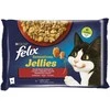 FELIX KONS ĖDAL KAT MĖSOS KONS.SU PADAŽ.4X85G