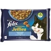 FELIX KONS ĖDAL KAT ŽUVIES KONS.SU PADAŽ.4X85G