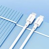 Foneng laidinis įkroviklis GaN10-EU - USB + 2xType C - QC 4.0+ PD 65W su Type C į Type C kabeliu baltos spalvos