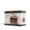 Forever Electro FM radijas CARLO JB-105 BT USB 1200mAh
